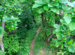 Rundum23