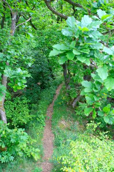 Rundum23