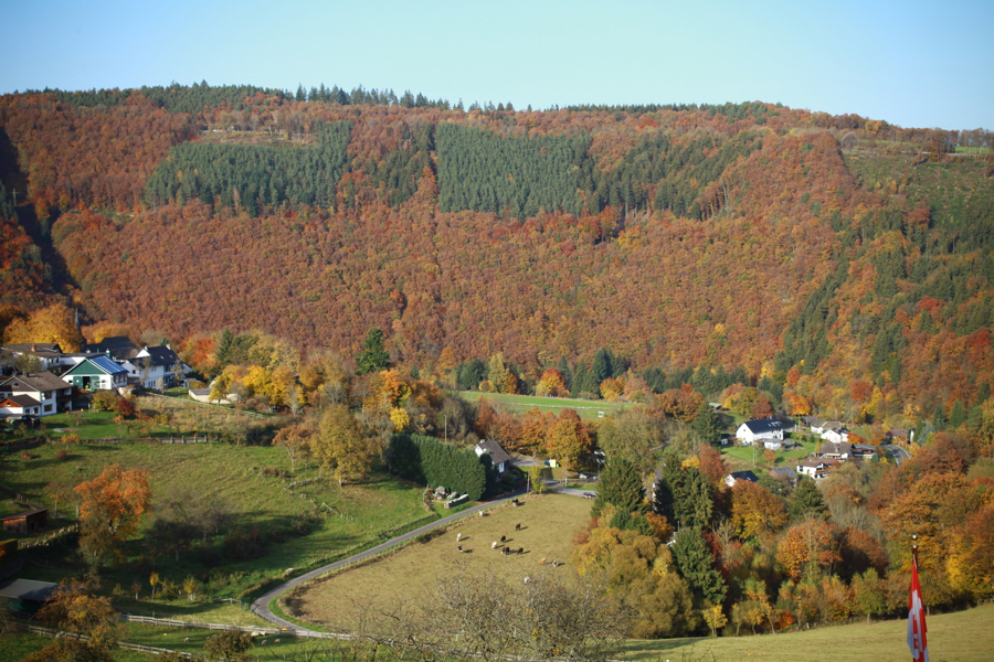 RundumHelmut21