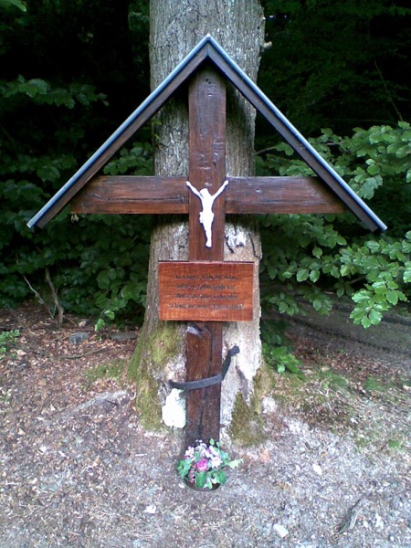 Umgebung - 17