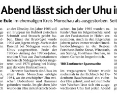 Fast jeden Abend...